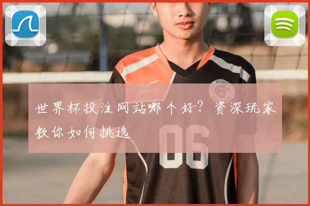 世界杯投注网站哪个好？资深玩家教你如何挑选