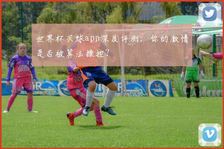 世界杯买球app深度评测:你的激情是否被算法操控?